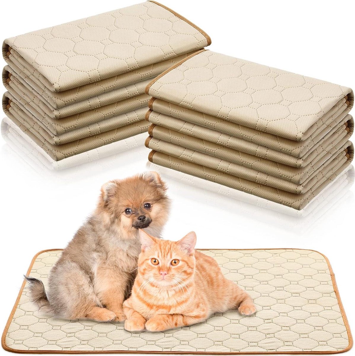 Herbruikbare plaspads - Trainingspads voor zindelijkheidstraining - Antislip absorberende mat - Waterdichte onderpads - 6 stuks - Beige - 18 x 24 inch