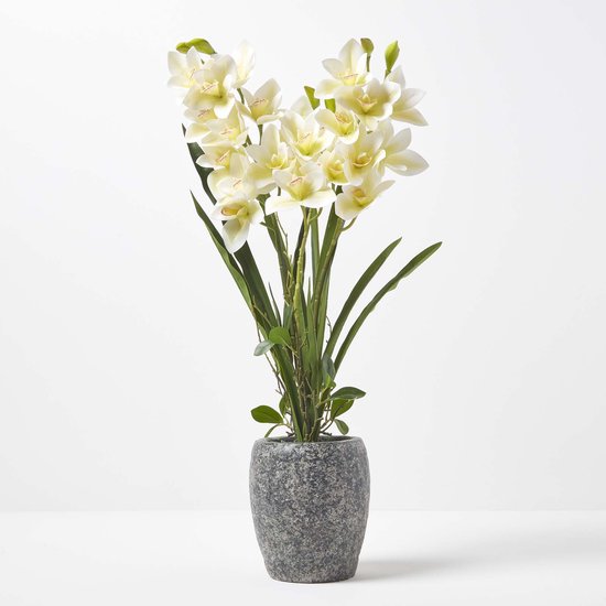 Homescapes Grande Orchidée artificielle jaune en pot foncé en ciment 82 cm