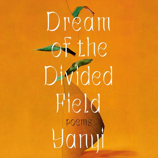 Dream of the Divided Field - cover