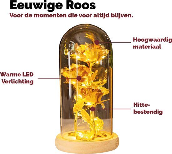 Gouden roos in glazen stolp met warme LED-verlichting en labels over materiaal en hittebestendigheid.
