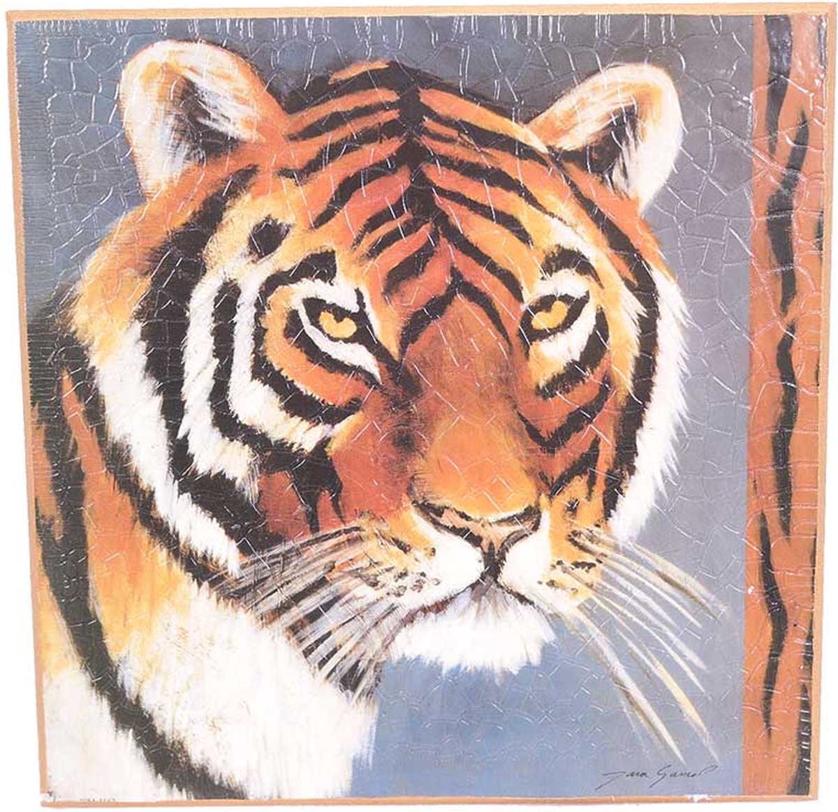 PIA Soft Toys - Tijger schilderij vierkant - 28 cm x 28 cm