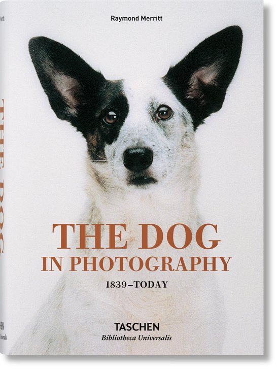 The Dog in Photography 1839 Today