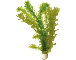 Aquafleur Koudwaterbos Mix Waterplant