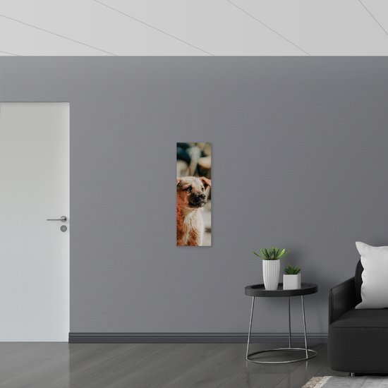 WallClassics - Verre acrylique - Puppy solitaire - Photo 30 x 90 cm sur verre acrylique (avec système de suspension)