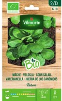 Vilmorin - Veldsla Baron BIO - V471B