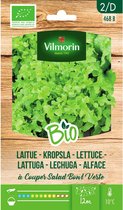Vilmorin - Kropsla a grouper salad bonl verte BIO - V468B