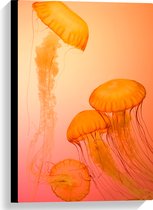 WallClassics - Canvas  - Oranje Kwallen - 40x60 cm Foto op Canvas Schilderij (Wanddecoratie op Canvas)