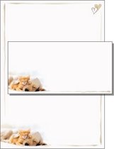Briefpapier - A4 - 30x21 cm - Pup - Kitten - 12 stuks - inclusief 6 enveloppen