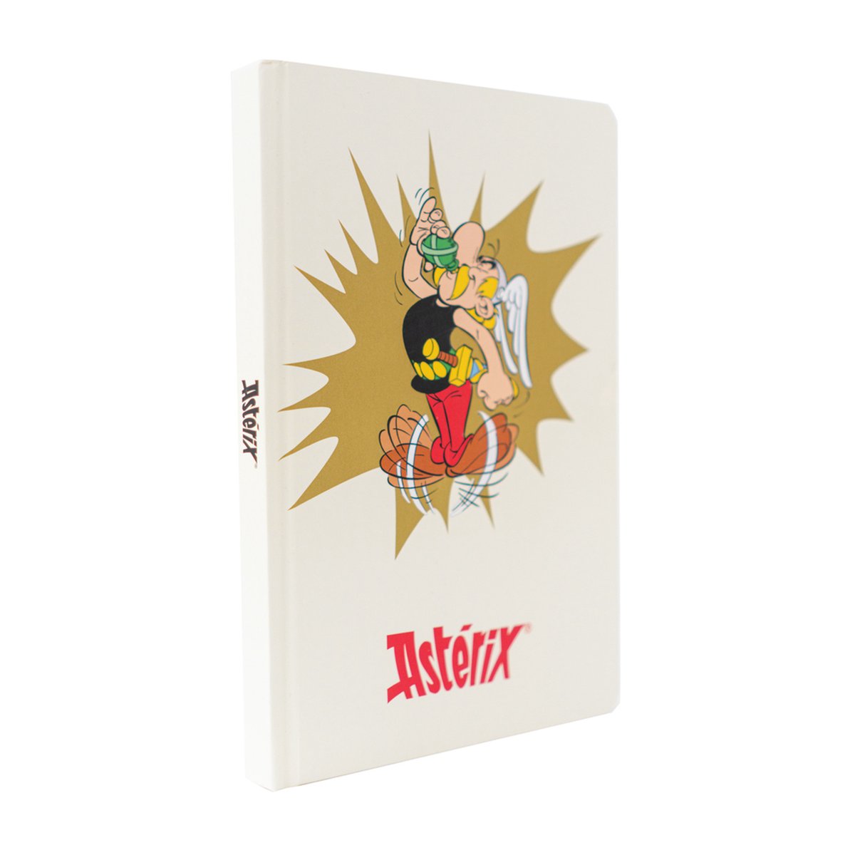 Asterix en Obelix - Premium Notitieboek Asterix - A5