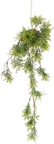 Kokedama - Rozemarijn - hangplant - kunstplant - 60 cm - Japanse mosbol