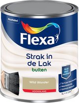 Flexa Strak in de Lak - Buitenlak - Hoogglans - Kleur van het Jaar 2023 - Wild Wonder - 1 liter