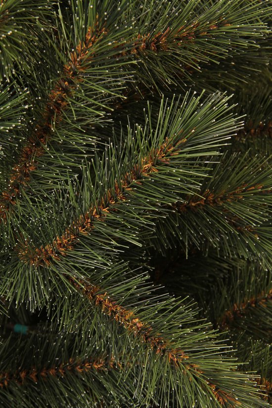 Gedetailleerd beeld van groene dennentakken met bruine knoppen en witte puntjes op de naalden.