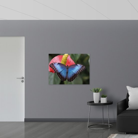 WallClassics - Muursticker - Papillon Blauw noir sur Bloem rouge - 100x75 cm Photo sur Muursticker