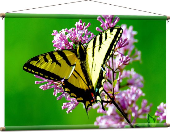 WallClassics - Textielposter - Geel met Zwarte Vlinder op Roze Bloem - 120x80 cm Foto op Textiel