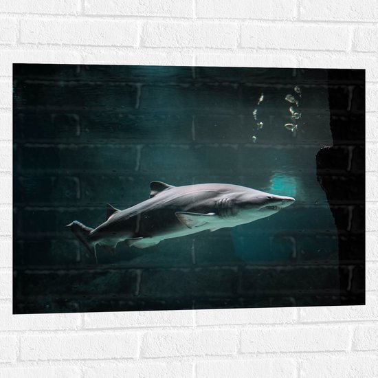 WallClassics - Muursticker - Boze Haai onder Water - 80x60 cm Foto op Muursticker