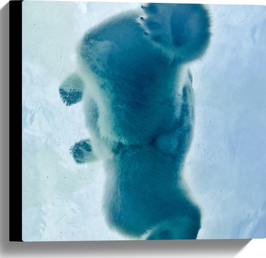 WallClassics - Canvas  - Ijsbeer van Onder het Ijs - 40x40 cm Foto op Canvas Schilderij (Wanddecoratie op Canvas)