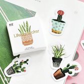 Bullet Journal Stickers - Planner Agenda Stickers - 45 stuks - Succulent - Cactus - Planten - Botanica - Vetplantjes - Scrapbook stickers - Bujo stickers - Stickers volwassenen en kinderen