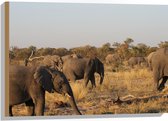 WallClassics - Hout - Kudde Afrikaanse Olifanten - 75x50 cm - 12 mm dik - Foto op Hout (Met Ophangsysteem)