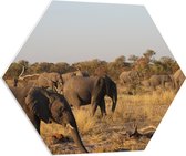 WallClassics - PVC Schuimplaat Hexagon  - Kudde Afrikaanse Olifanten - 80x69.6 cm Foto op Hexagon (Met Ophangsysteem)