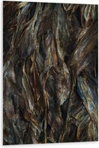 WallClassics - PVC Schuimplaat- Bruine Bladeren - 80x120 cm Foto op PVC Schuimplaat