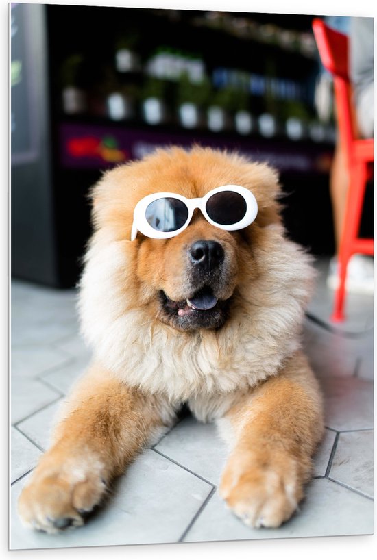 WallClassics - PVC Schuimplaat - Coole Hond met Zonnebril - 80x120 cm Foto op PVC Schuimplaat (Met Ophangsysteem)
