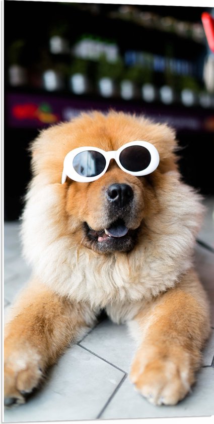 WallClassics - PVC Schuimplaat - Coole Hond met Zonnebril - 50x100 cm Foto op PVC Schuimplaat (Met Ophangsysteem)