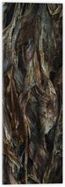 WallClassics - Verre Acrylique - Feuilles Brunes - 20x60 cm Photo sur Verre Acrylique (Avec Système d'accrochage)