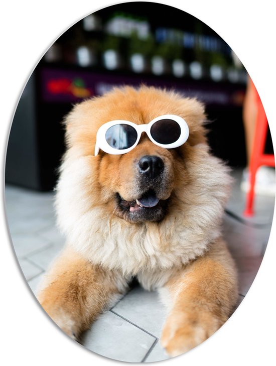 WallClassics - PVC Schuimplaat Ovaal - Coole Hond met Zonnebril - 72x96 cm Foto op Ovaal  (Met Ophangsysteem)