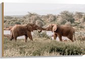 WallClassics - Hout - Begroeting van Afrikaanse Olifanten - 90x60 cm - 12 mm dik - Foto op Hout (Met Ophangsysteem)