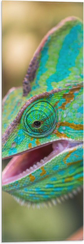 WallClassics - Vlag - Groene Kameleon - 20x60 cm Foto op Polyester Vlag