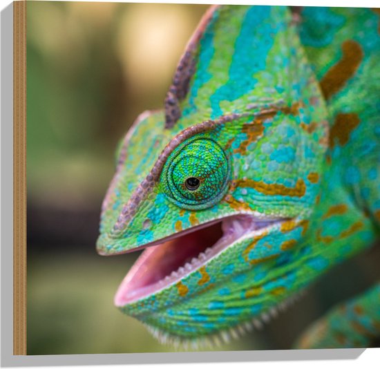WallClassics - Hout - Groene Kameleon - 50x50 cm - 12 mm dik - Foto op Hout (Met Ophangsysteem)