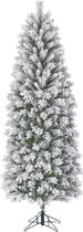 Black Box Trees - Sapin de Noël Chandler slim vert givré TIPS 382 - h185xd69cm - Sapins de Noël