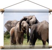 WallClassics - Textielposter - Knuffelende Olifanten - 40x30 cm Foto op Textiel