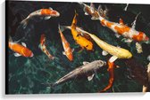 WallClassics - Canvas  - Koi Karpers in het Water - 90x60 cm Foto op Canvas Schilderij (Wanddecoratie op Canvas)