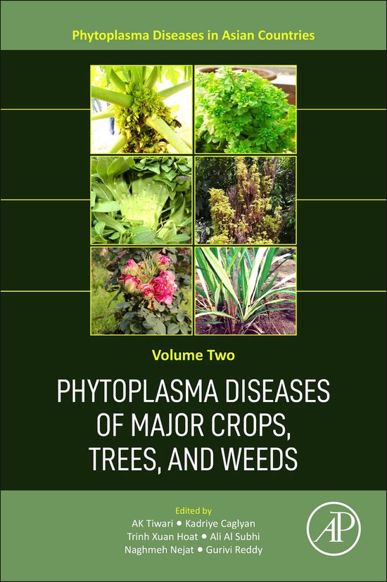 Phytoplasma Diseases of Major Crops, Trees, and Weeds 9780323918978