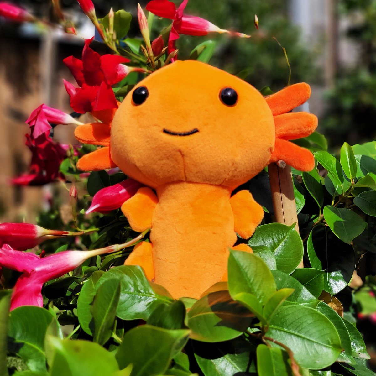 Axolotl Knuffel - Axolotl Plushy - 17cm - Oranje