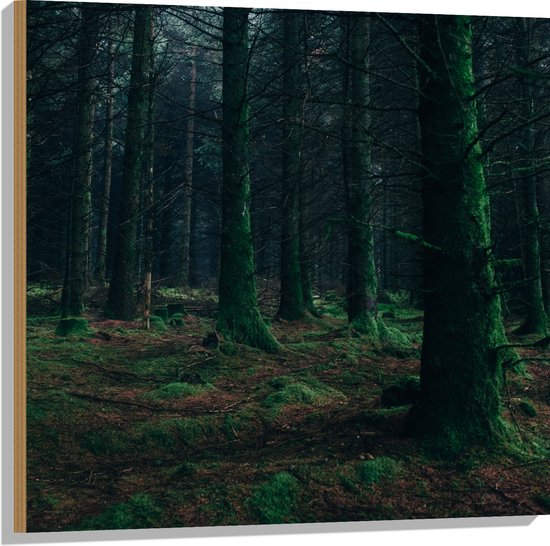 WallClassics - Hout - Donker Bos vol Groen Mos - 80x80 cm - 12 mm dik - Foto op Hout (Met Ophangsysteem)