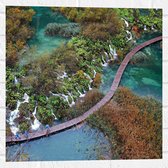 WallClassics - Muursticker - Brug tussen Begroeid Water - 50x50 cm Foto op Muursticker