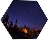 WallClassics - Dibond Hexagon - Licht bij Bomen aan Meer onder Sterrenhemel  - 30x26.1 cm Foto op Hexagon (Met Ophangsysteem)
