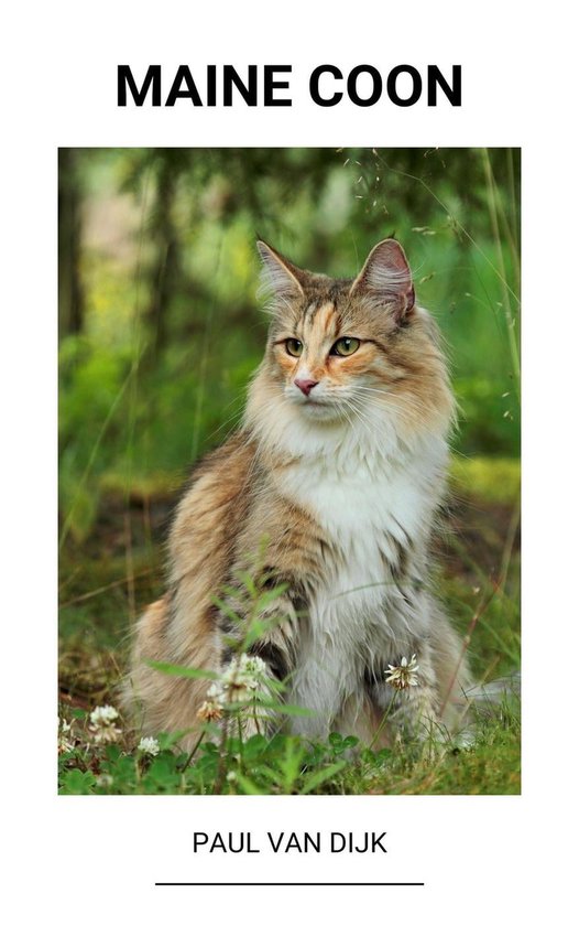 Maine Coon - cover