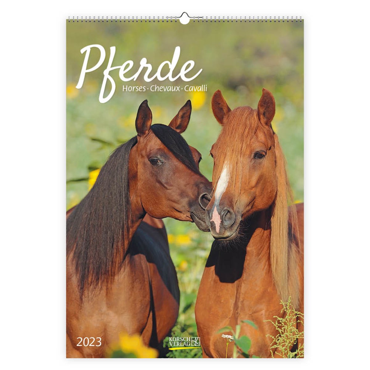 Photo Horses Kalender 2023