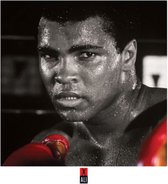 Muhammad Ali Boxing Gloves Art Print 40x40cm | Poster