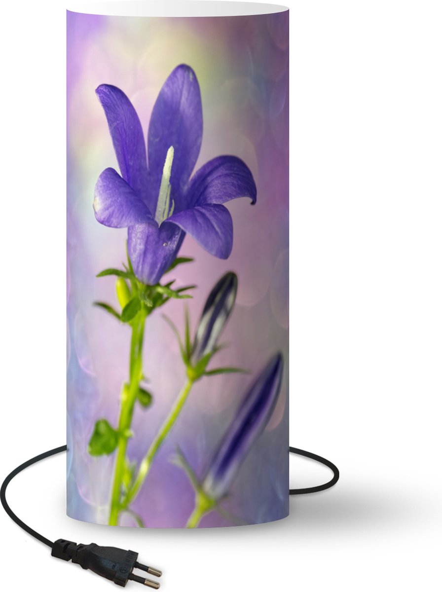 Lamp - Nachtlampje - Tafellamp slaapkamer - Een violette sterhyacint - 70 cm hoog - Ø29.6 cm - Inclusief LED lamp