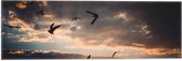 WallClassics - Vlag - Vogels in de Lucht bij Zonsondergang - 60x20 cm Foto op Polyester Vlag
