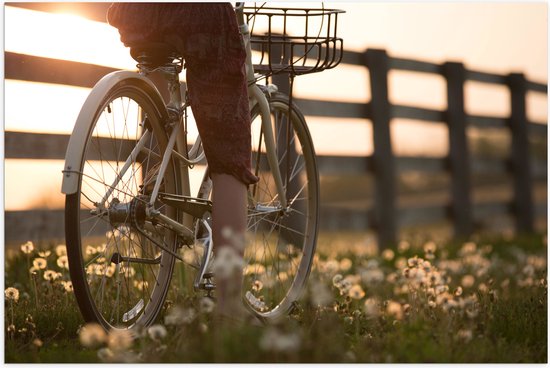 WallClassics - Poster (Mat) - Fietser door Bloemenveld - 90x60 cm Foto op Posterpapier met een Matte look