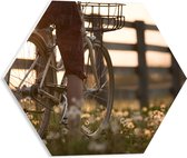 WallClassics - PVC Schuimplaat Hexagon  - Fietser door Bloemenveld - 40x34.8 cm Foto op Hexagon (Met Ophangsysteem)