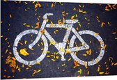 WallClassics - Dibond - Fiets Logo op Straat met Herfstbladeren - 150x100 cm Foto op Aluminium (Met Ophangsysteem)