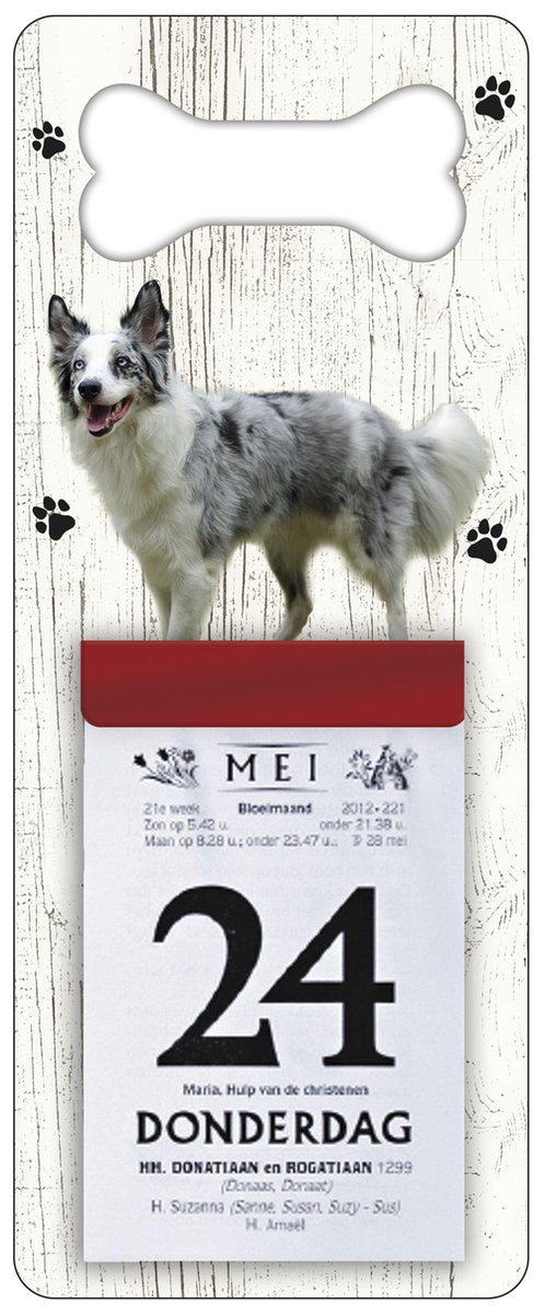 Scheurkalender 2026 Hond: Bordercollie