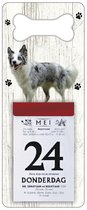 Scheurkalender 2024 Hond: Bordercollie