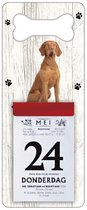 Scheurkalender 2024 Hond: Vizsla Korthaar